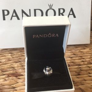 Pandora Swan charm